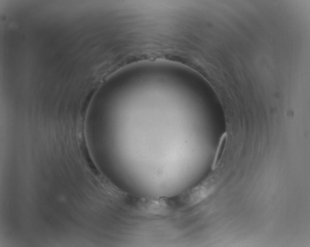 X0000051890768200506241349