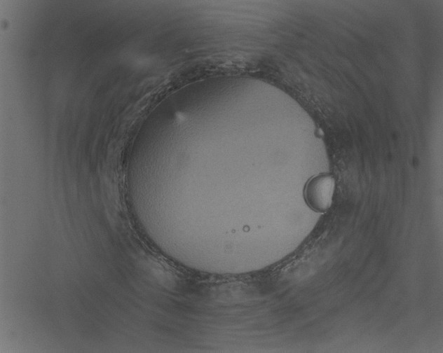 X0000051890769200506241348