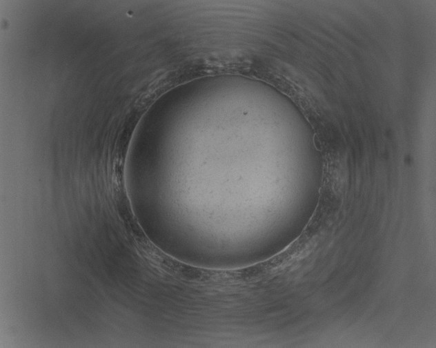 X0000051890770200506241348