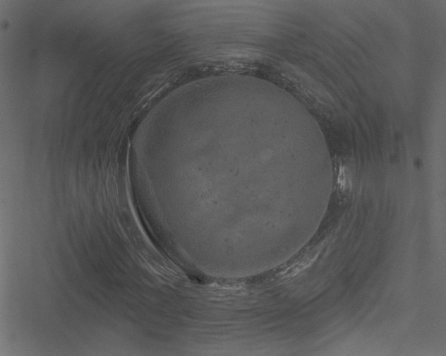 X0000051890771200506241348