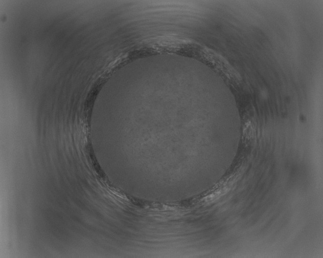 X0000051890772200506241348