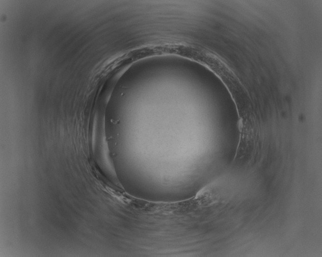 X0000051890773200506241348