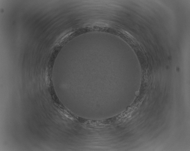 X0000051890774200506241348