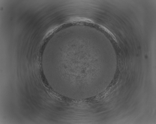 X0000051890775200506241348