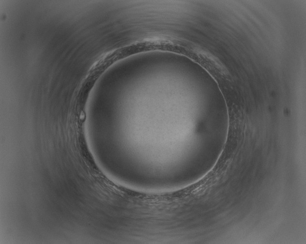 X0000051890776200506241348