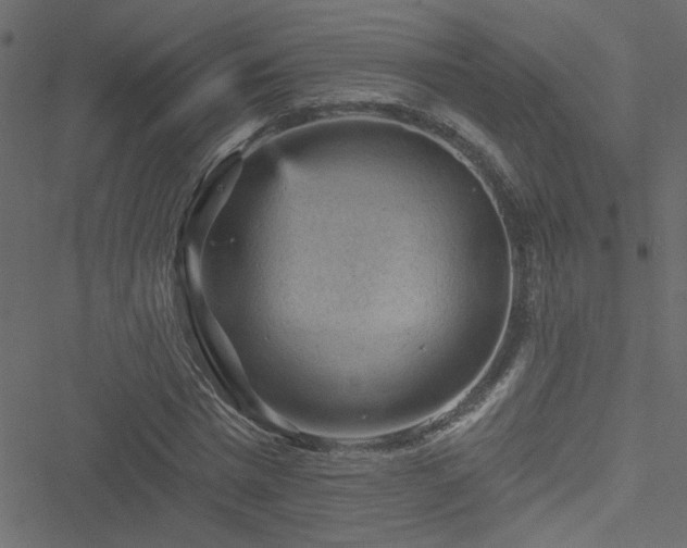 X0000051890777200506241348