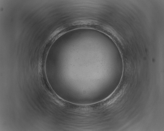 X0000051890778200506241348