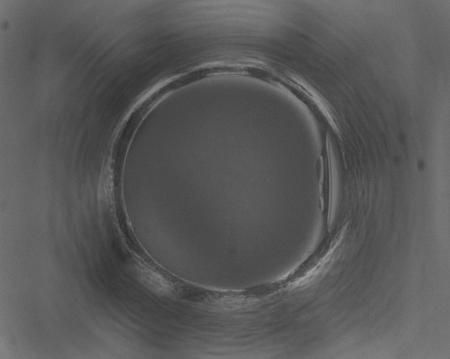 X0000051890779200506241348