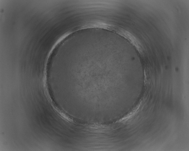 X0000051890780200506241348