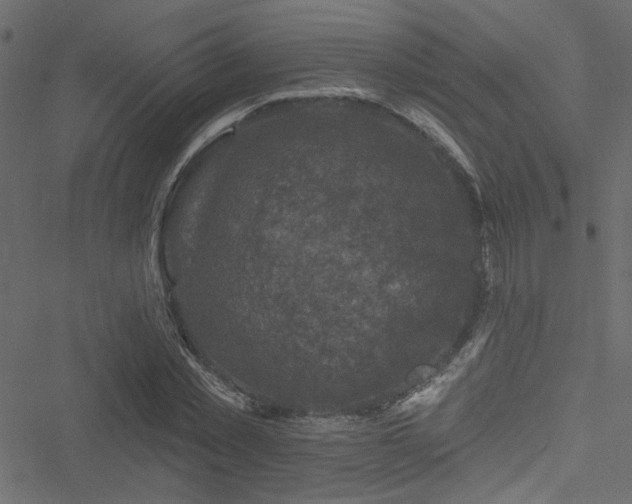 X0000051890781200506241348