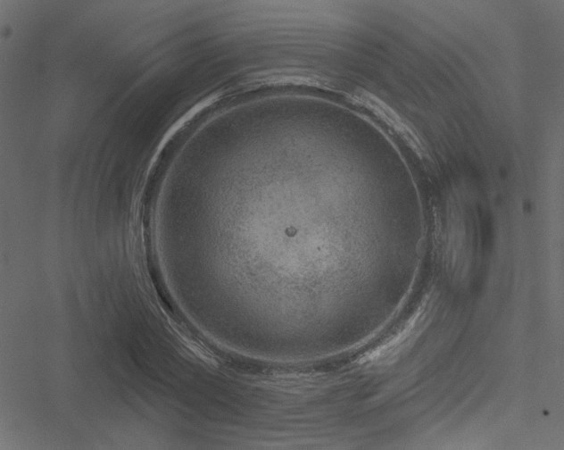 X0000051890782200506241348