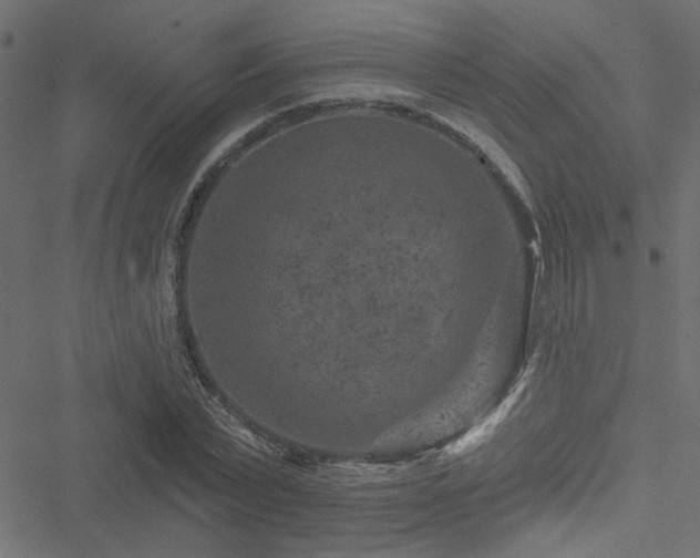 X0000051890783200506241348