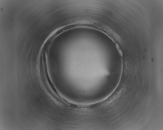 X0000051890784200506241348