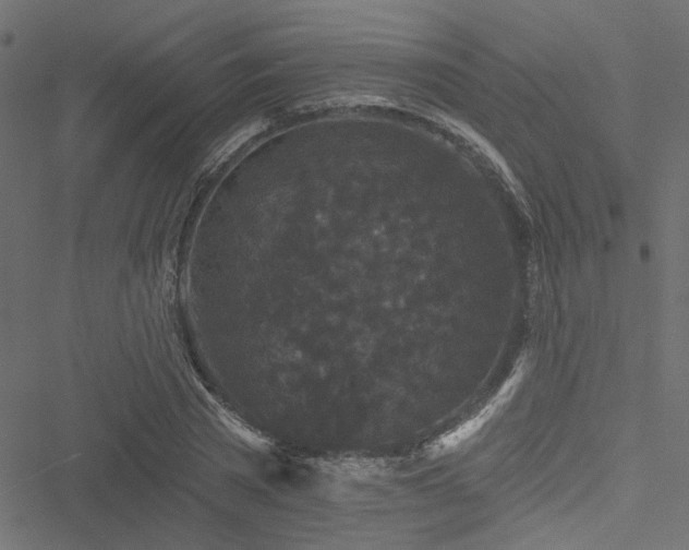 X0000051890785200506241348