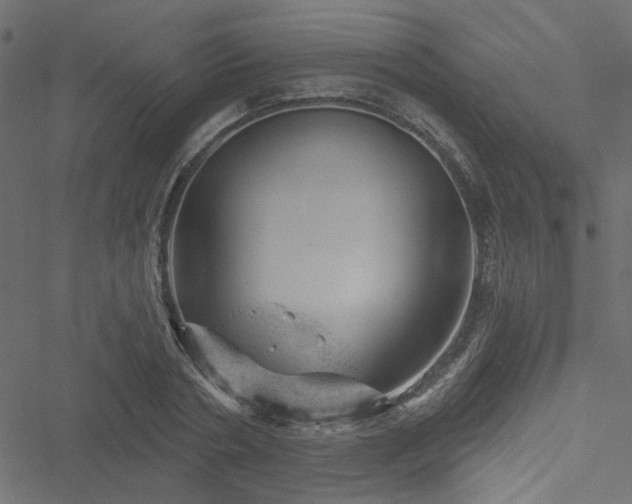 X0000051890786200506241348