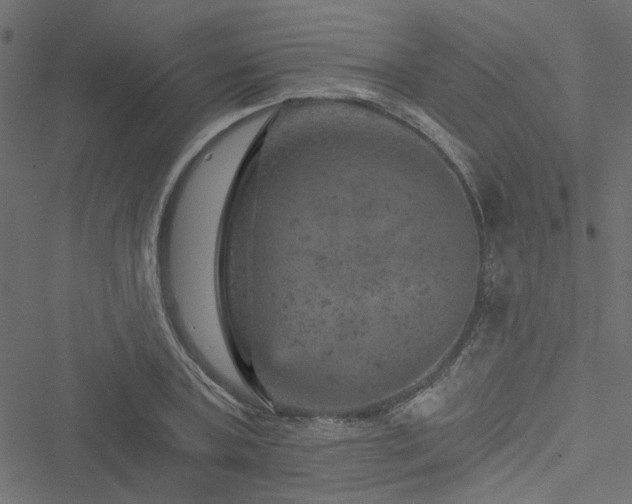 X0000051890787200506241348