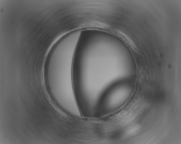 X0000051890788200506241348