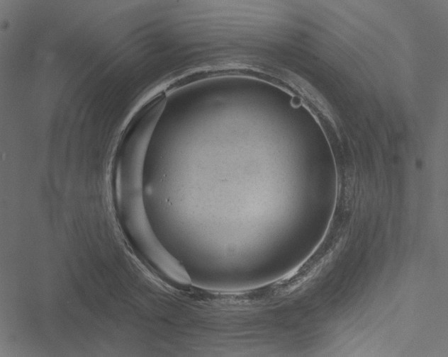 X0000051890789200506241348