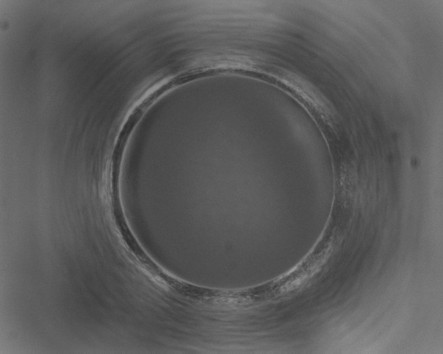 X0000051890790200506241348