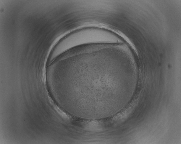 X0000051890791200506241348