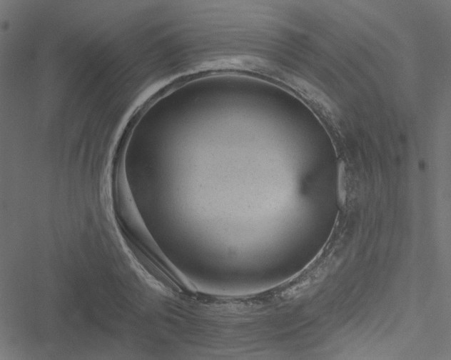 X0000051890792200506241348