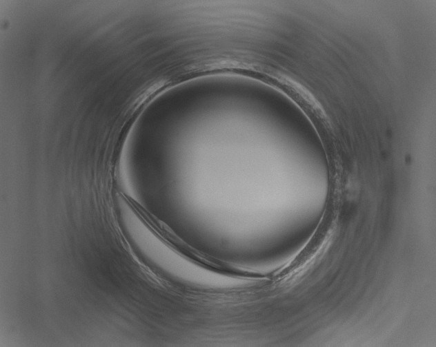 X0000051890793200506241348