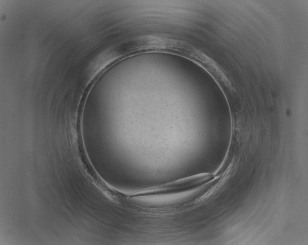 X0000051890794200506241348