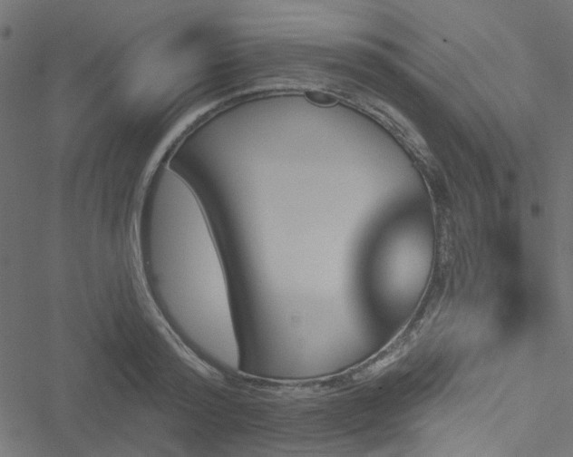 X0000051890796200506241348