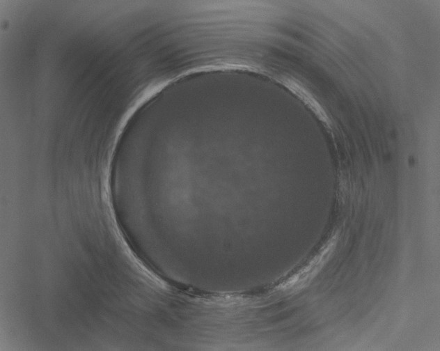 X0000051890797200506241348