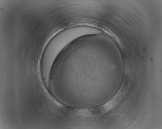 X0000051890798200506241348