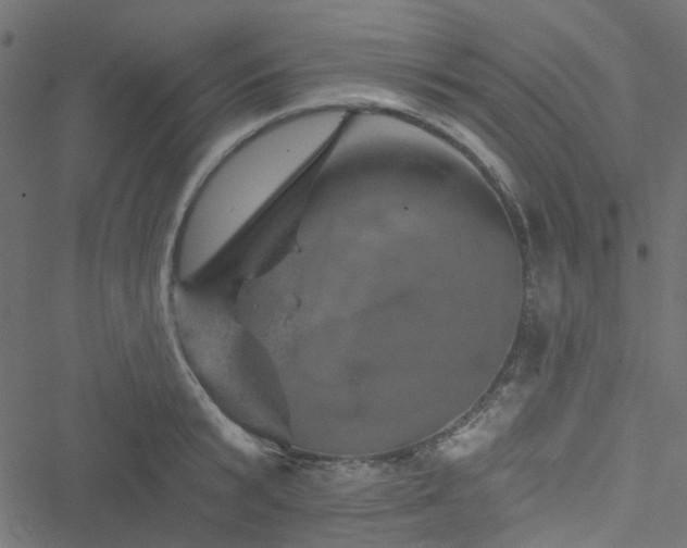 X0000051890799200506241348