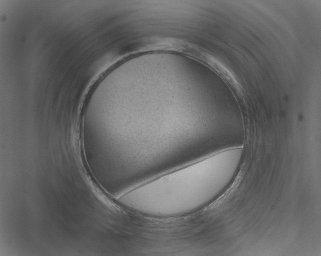 X0000051890800200506241348