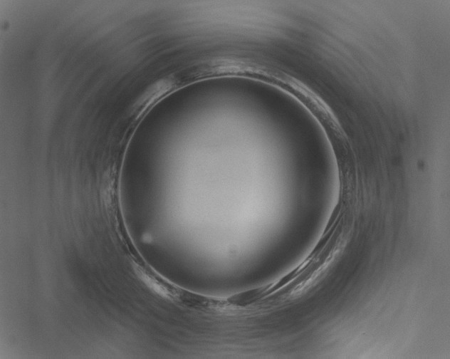 X0000051890801200506241348