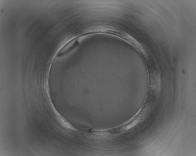 X0000051890802200506241348