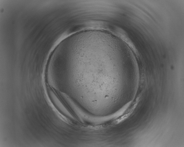 X0000051890803200506241347