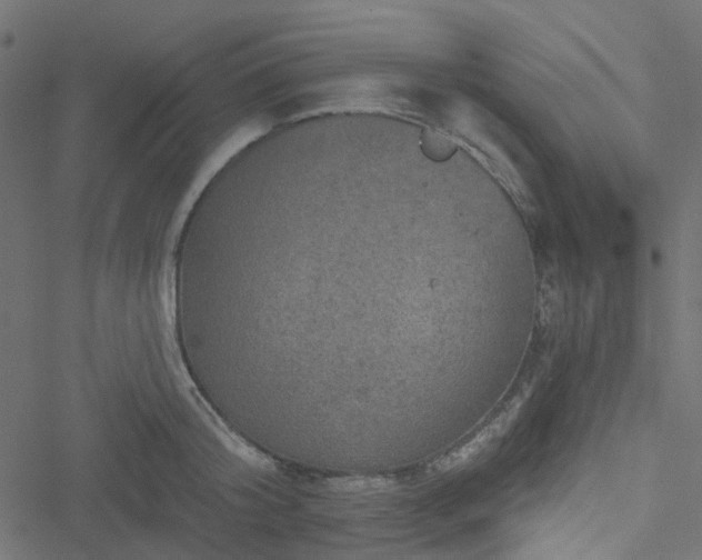 X0000051890804200506241347