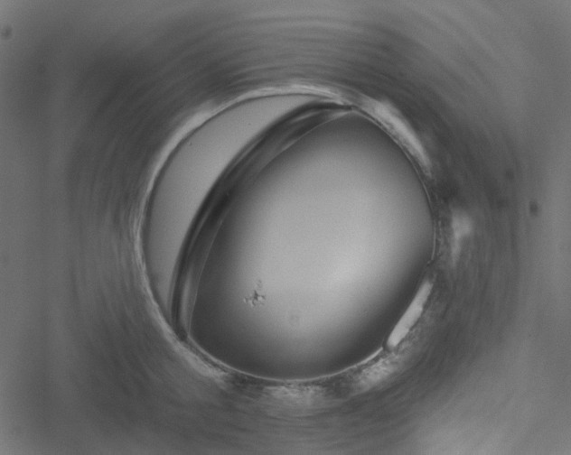 X0000051890805200506241347