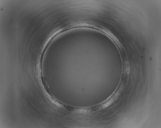 X0000051890806200506241347