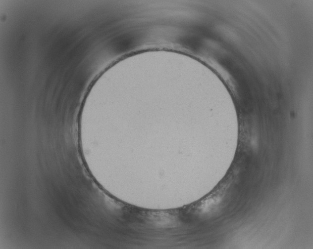 X0000051890807200506241347