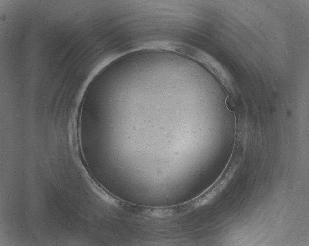 X0000051890808200506241347