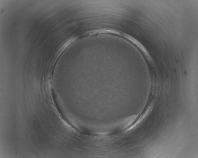 X0000051890809200506241347