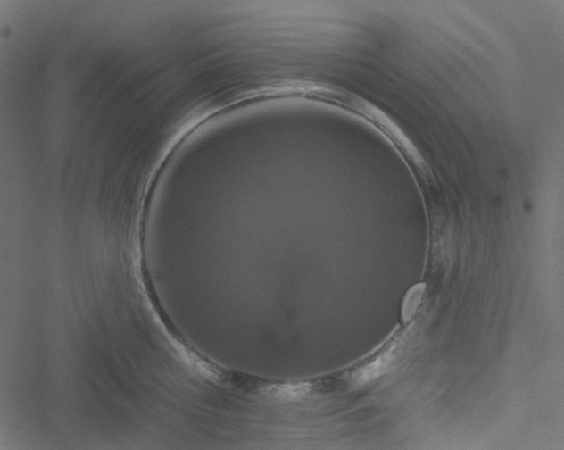 X0000051890810200506241347