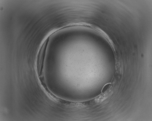 X0000051890811200506241347