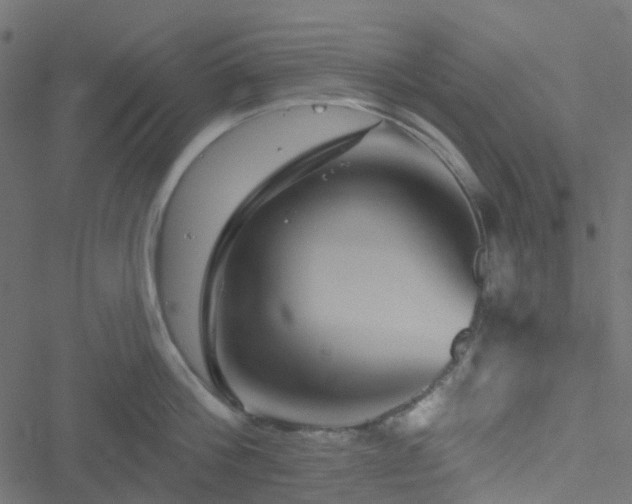 X0000051890812200506241347