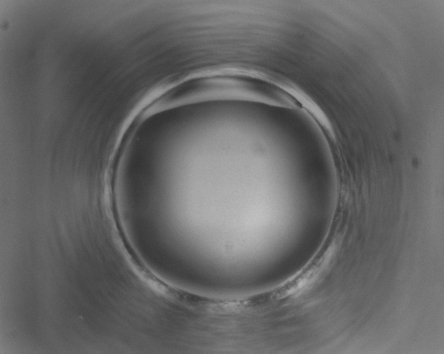 X0000051890813200506241347