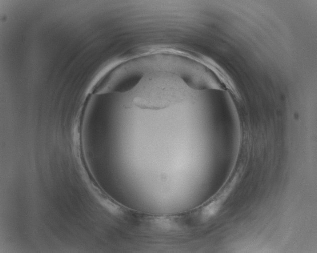 X0000051890814200506241347