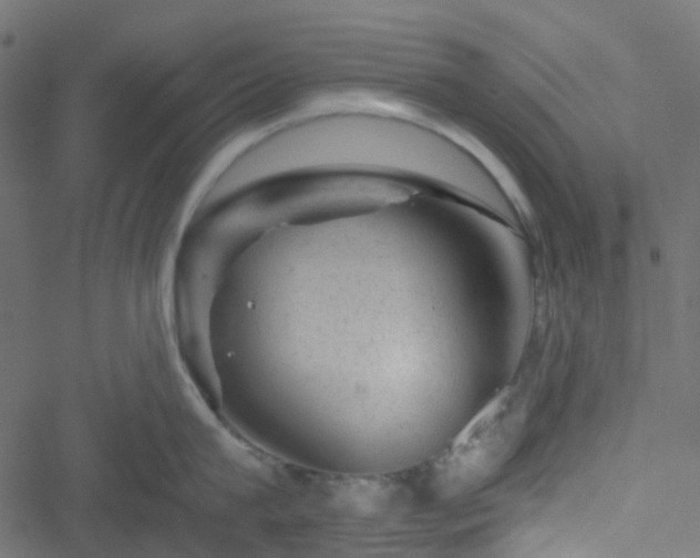 X0000051890815200506241347