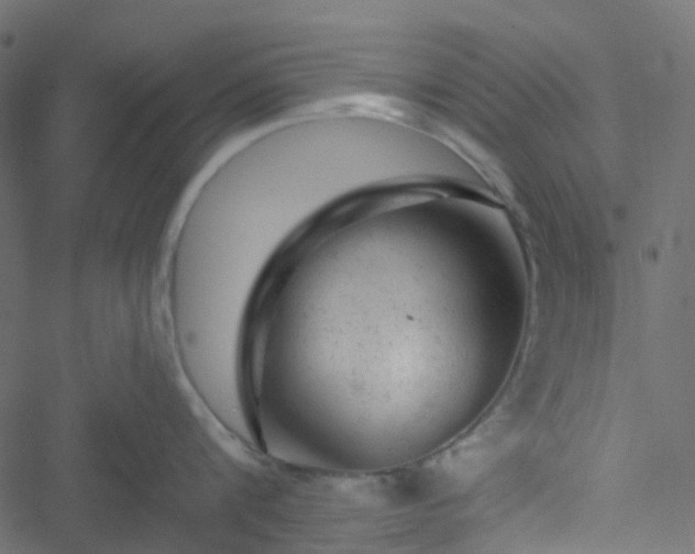 X0000051890816200506241347