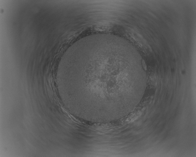 X0000051890817200506241346