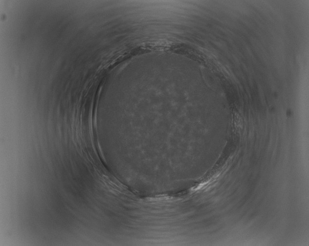 X0000051890818200506241347